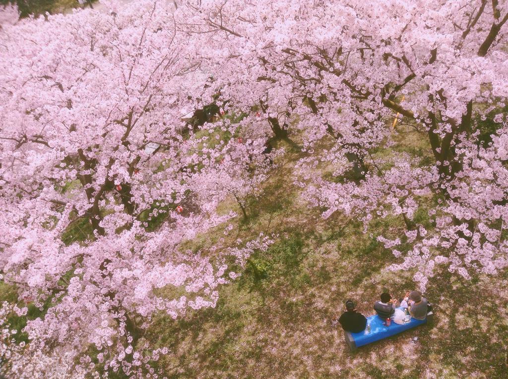 Salt House Shimanami Gh Imabari Ngoại thất bức ảnh